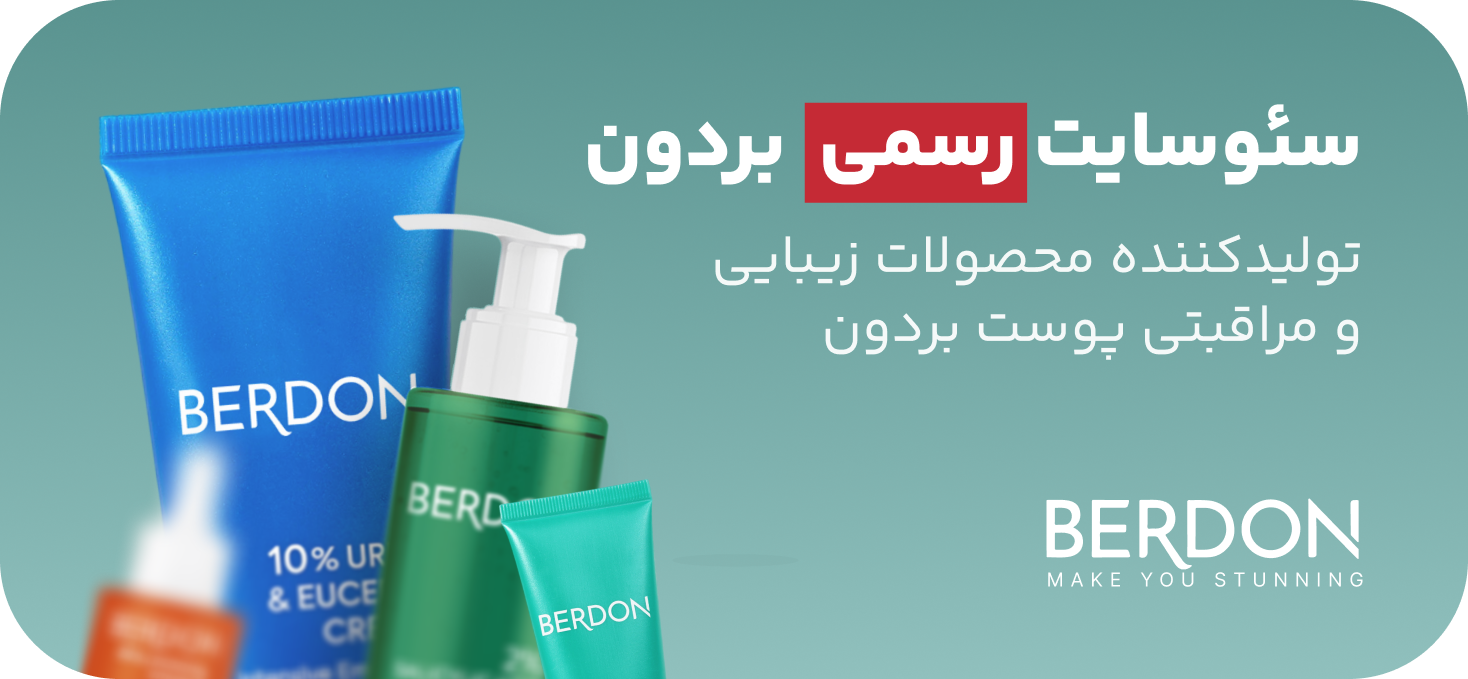 سئو سایت فروشگاهی بردون